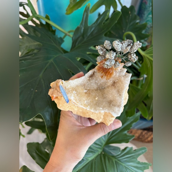 Tucan Carving On Calcite - Picture 4 of 7